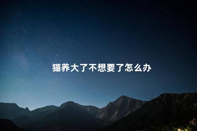 猫养大了不想要了怎么办