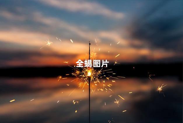 全蝎图片