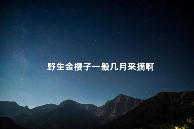 野生金樱子一般几月采摘啊