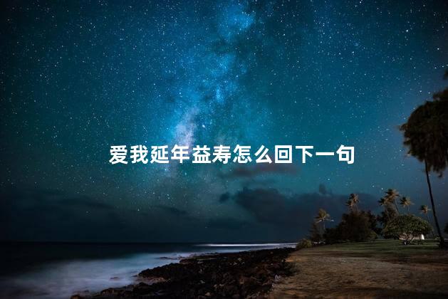 爱我延年益寿怎么回下一句